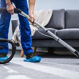 Professional carpet cleaning in progress