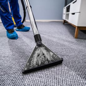 Upholstery cleaning service