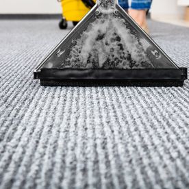 Deep carpet cleaning results
